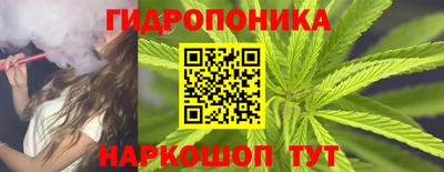 хмурый Краснознаменск