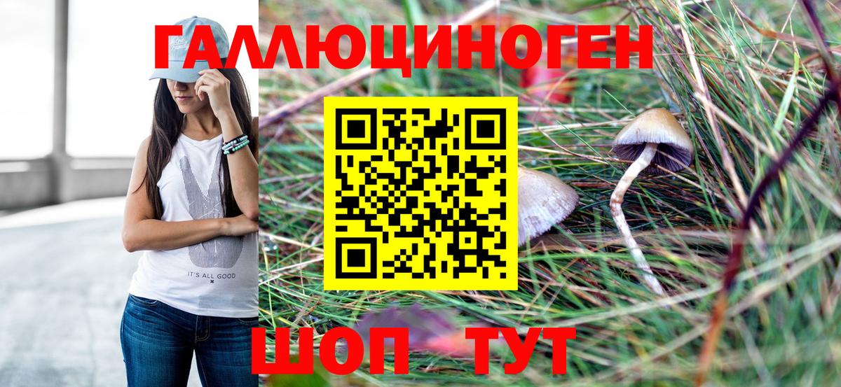 Псилоцибиновые грибы Psilocybine cubensis  Галлюциногенные грибы Psilocybe  Вход с VPN  дарнет шоп  Великий Устюг 